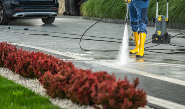 Best Patio and Deck Pressure Washing  in La Grange Park, IL